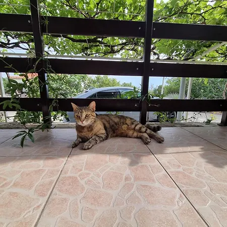 Rosita Apartmán *